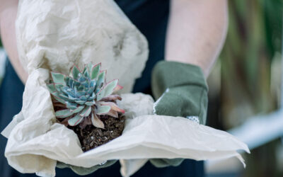 Post 10 : Lorem Ipsum Dummy Text