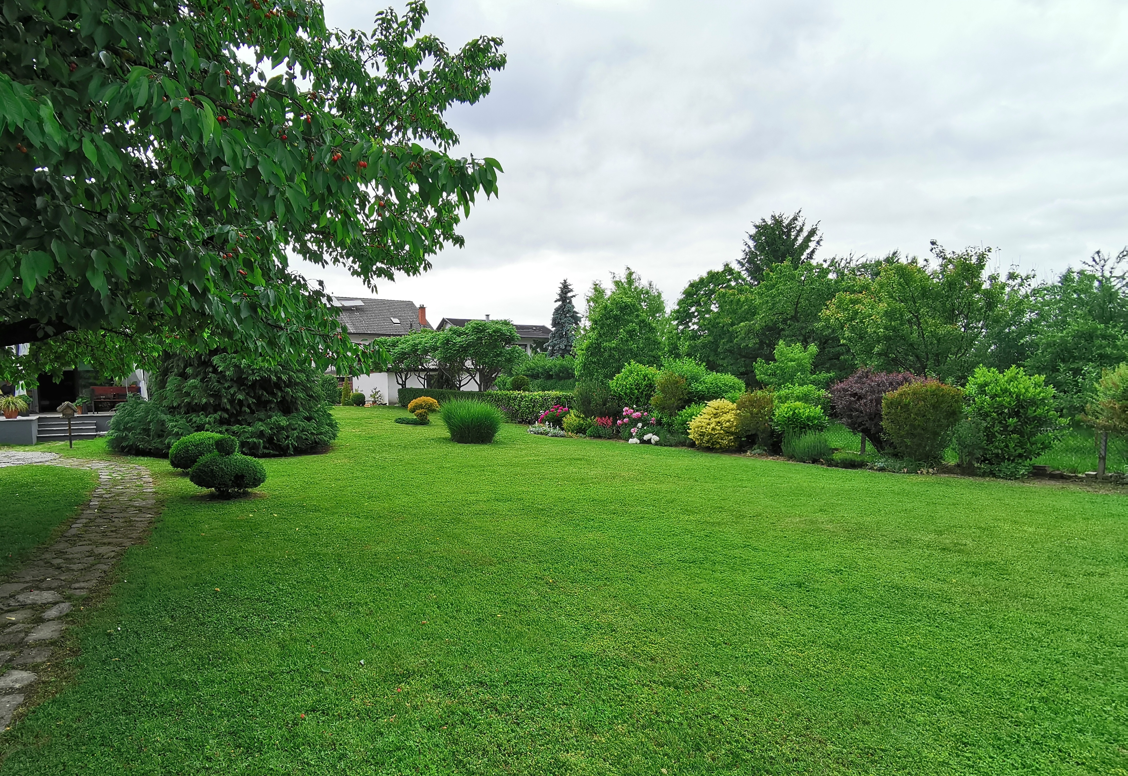 green-grass-in-back-yard-of-a-house-beautiful-gar-2023-11-27-05-08-02-utc