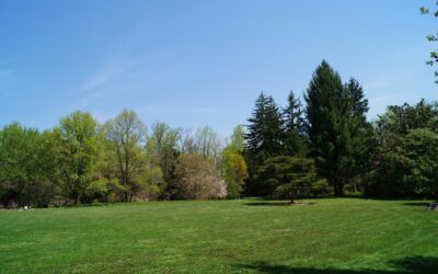 Post 12 : Lorem Ipsum Dummy Text