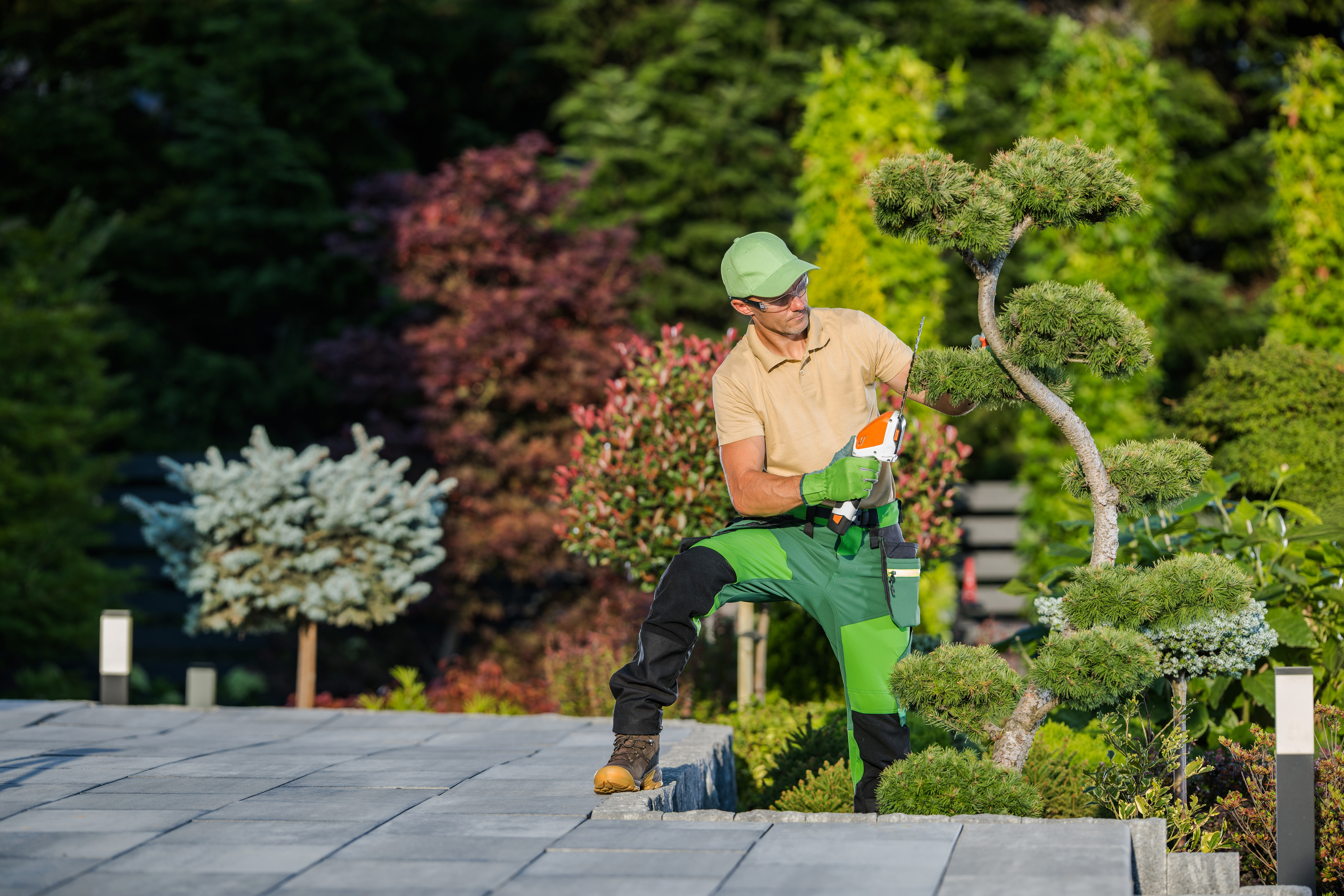 Landscaper Working with Mini Hedge Trimmer