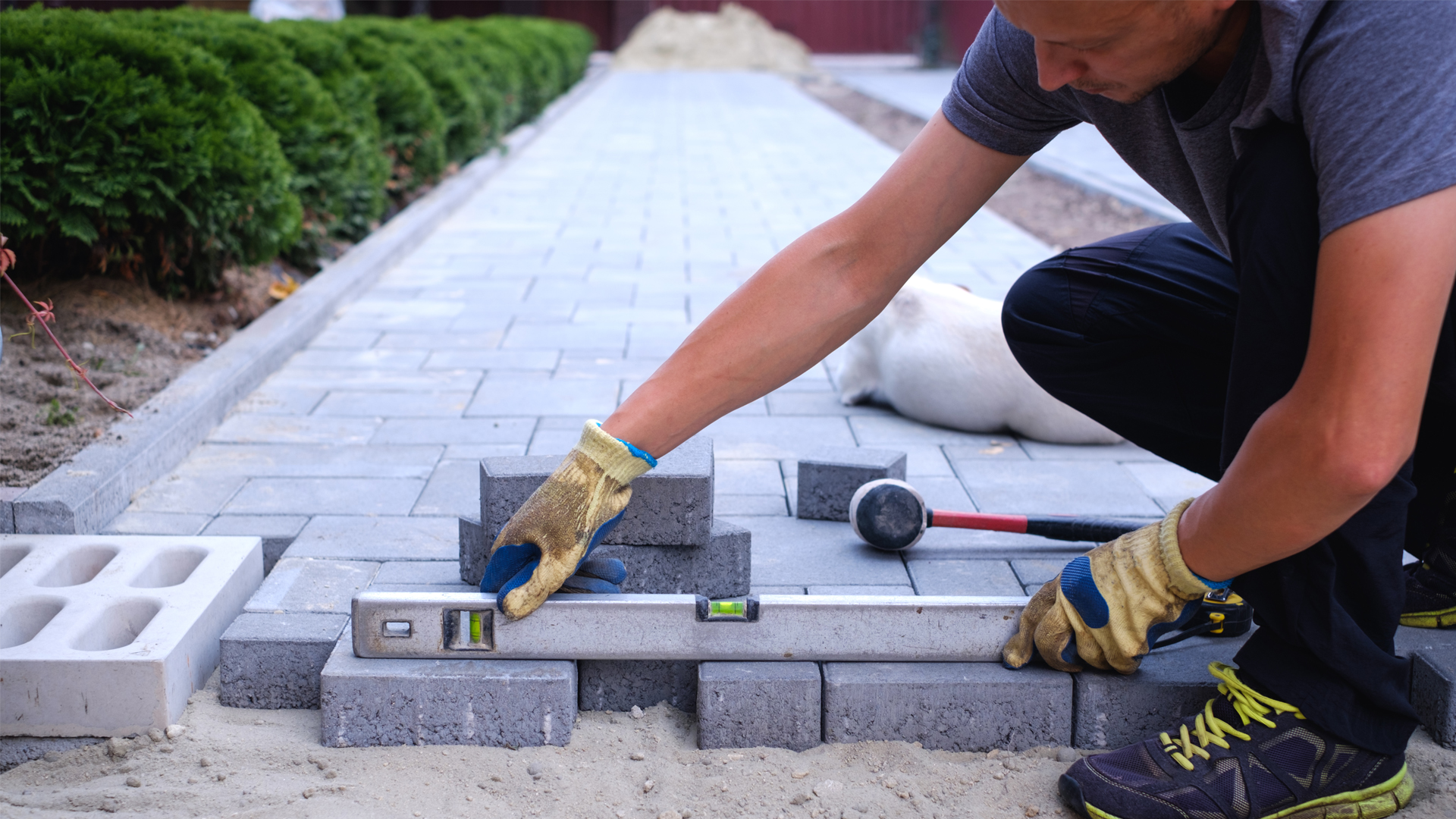 the-master-in-yellow-gloves-lays-paving-stones-2023-11-27-05-35-43-utc_2
